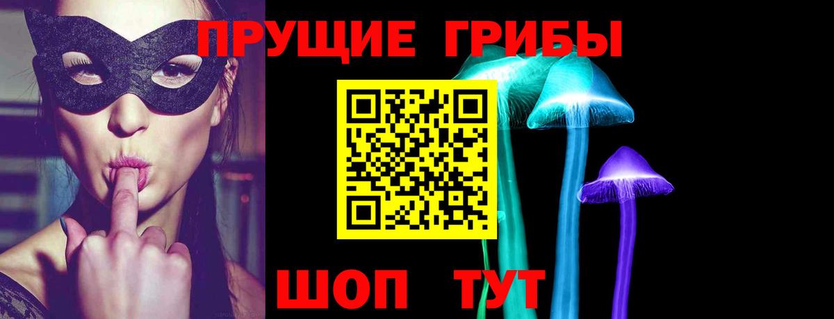 Сафоново  Псилоцибиновые грибы мицелий  Вход с VPN 
